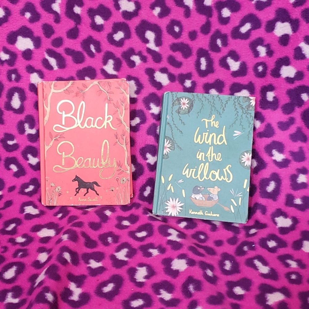2 books the wind in the willows and Black  beauty